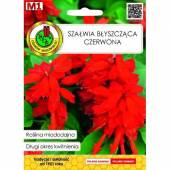 PNOS SZAŁWIA BŁ. CZERW. MIODIODAJNA 0,5G