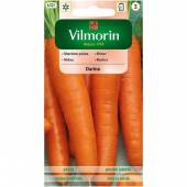 VILMORIN MARCHEW PÓŻNA DARINA 5G