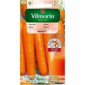 VILMORIN MARCHEW BOLERO F1 2.5G