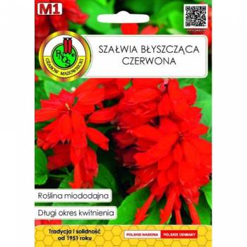 PNOS SZAŁWIA BŁ. CZERW. MIODIODAJNA 0,5G