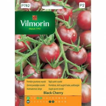 VILMORIN POMIDOR BLACK CHERRY 0,2G
