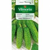 VILMORIN OGÓREK ALADYN SKIERNIEWICKI F1 5G