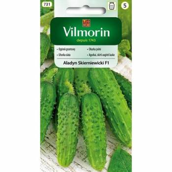 VILMORIN OGÓREK ALADYN SKIERNIEWICKI F1 5G