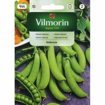 VILMORIN GROCH CUKROWY AMBROZJA 40G