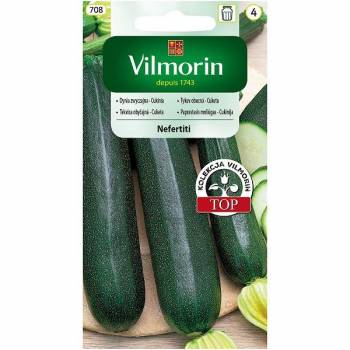 VILMORIN CUKINIA NEFERTITI 3G 