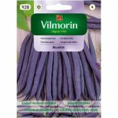 VILMORIN FASOLA BLAUHILDE