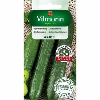 VILMORIN OGÓREK SZKL.SALADIN F1 0.8G