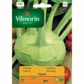 VILMORIN KALAREPA GIGANT 2G