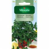 VILMORIN MIĘTA PIEPRZOWA 100 MG