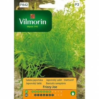 VILMORIN SAŁATA JAPOŃSKA FRIZZY JOE 0,5G