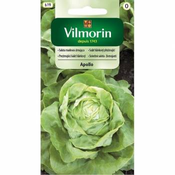 VILMORIN SAŁATA ZIMUJĄCA APOLLO 1G