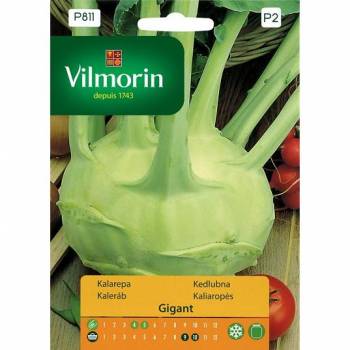 VILMORIN KALAREPA GIGANT 2G