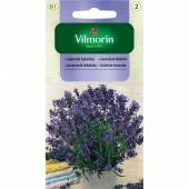VILMORIN LAWENDA LEKARSKA 200 MG